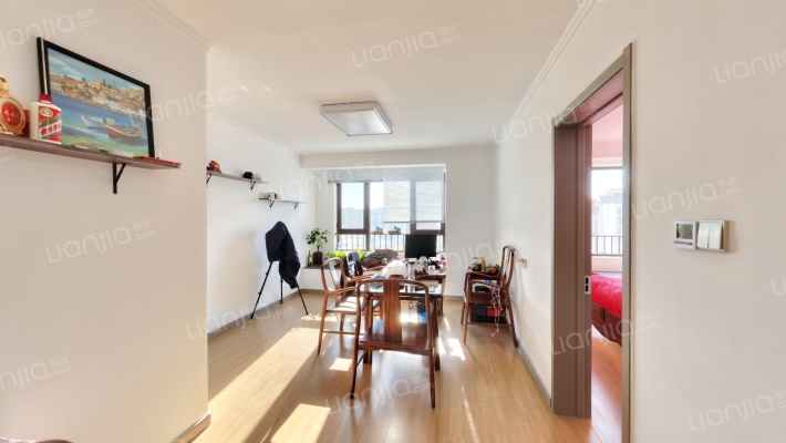 樾府国际精装两居室 南北通透 全天采光-客厅