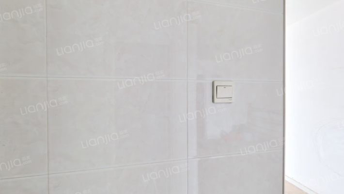 全阳户型 无遮挡 采光视野佳 可随意装修 满五唯一-客厅