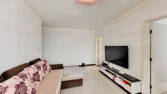 房本在手 电梯房 采光充足 视野好 有地下室 出行方便-客厅