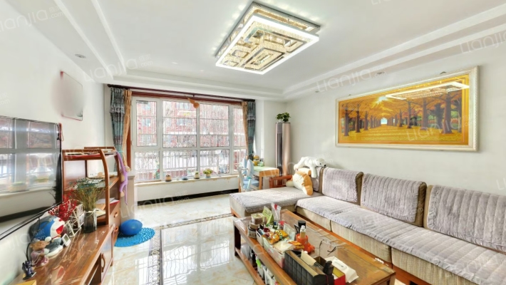 钢混结构 南北通透板楼 一层 带小院 距高铁站近-客厅