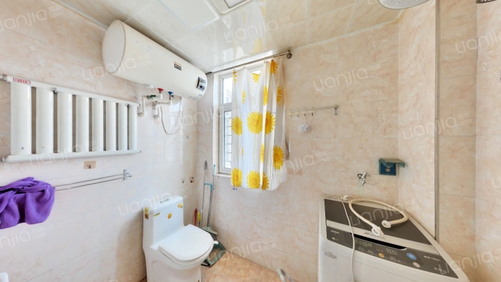 凯旋门 中高楼层 大三居 南北通透-卫生间A