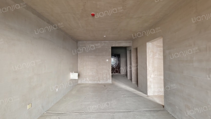 前排 好楼栋 俯瞰德信公园 南向大两居-客厅