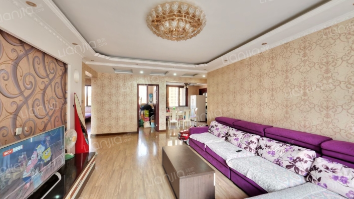 精装修 西户H户型 2明卫 满五 低楼层拎包入住-客厅