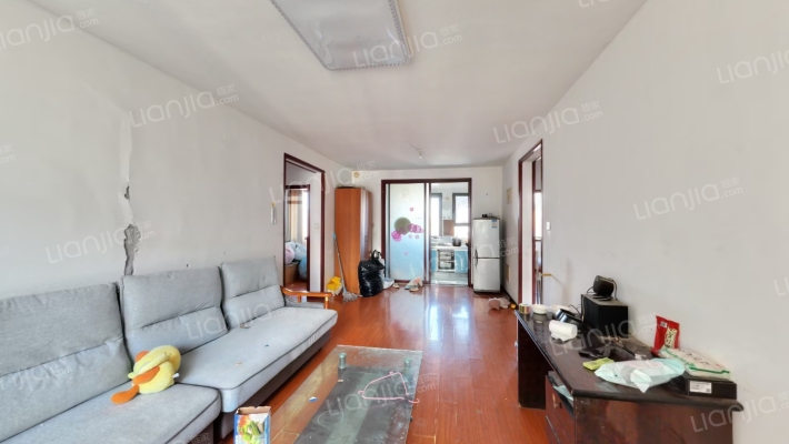 此房税少 好楼层 全天采光无遮挡-客厅