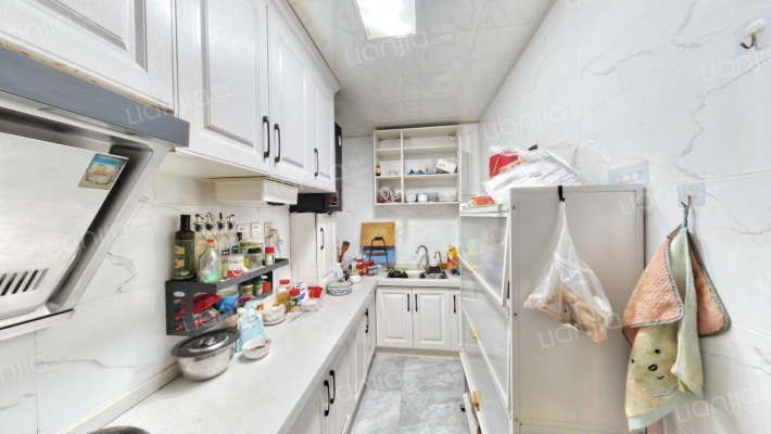 桃源新都孔雀城 3室2厅 南 北-厨房