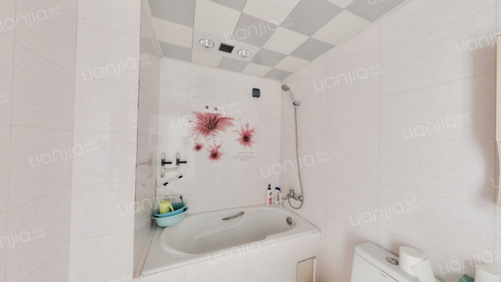 范阳路 电梯洋房 出门838 惠友八店 槐林菜市场-卫生间C