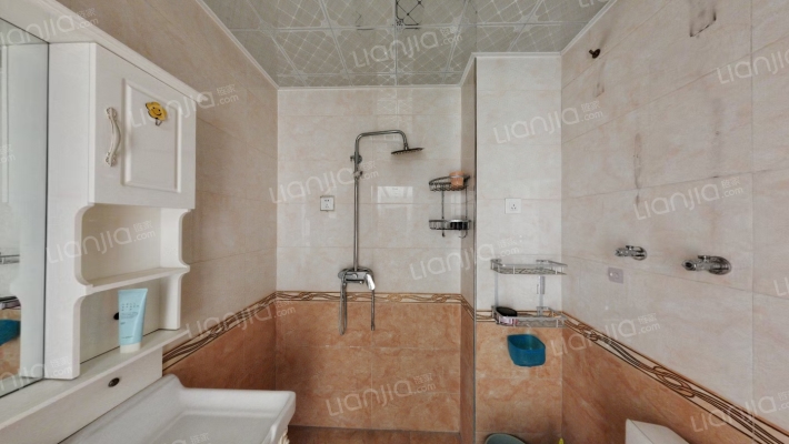 水岸花城，一线河景美宅，标准现房，即买即住-卫生间