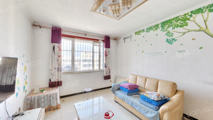 水岸花城 2室1厅 南 北-客厅