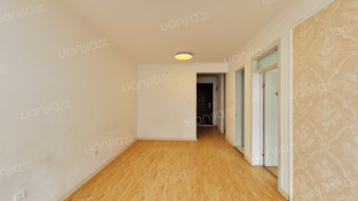 狮子城经典南向两居室 楼层高采光好-客厅