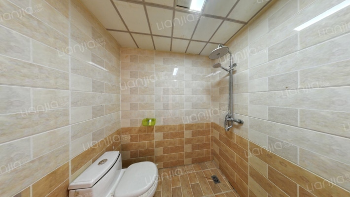 狮子城经典南向两居室 楼层高采光好-卫生间