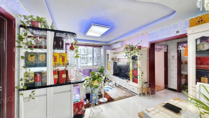 华阳路 理想城精装自住 南北通透两居-客厅