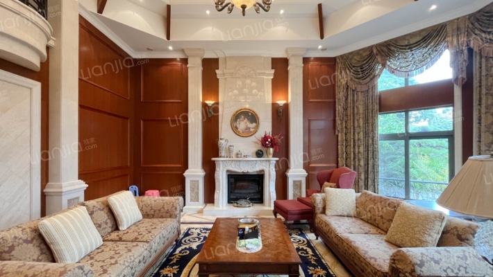 龙湖蓝湖郡西岸二手房实景图