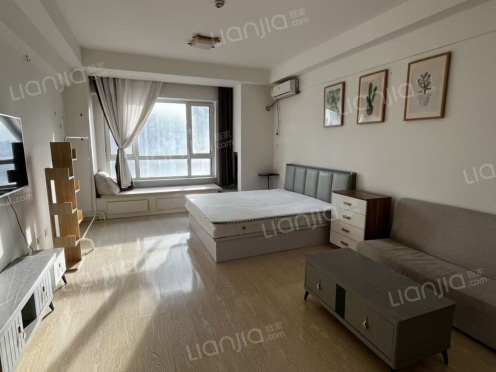 整租·万达广场 1室1厅 西