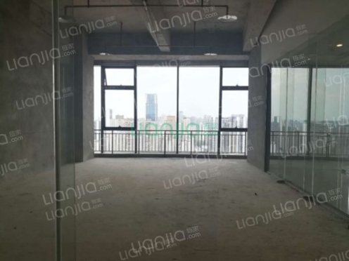 整租·龙湖源著天街 1室0厅 南