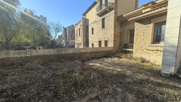 联排类独栋，南北通透，格局好，带院子-露台