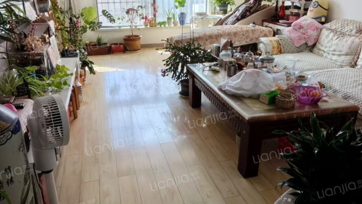 东顺花园二手房实景图