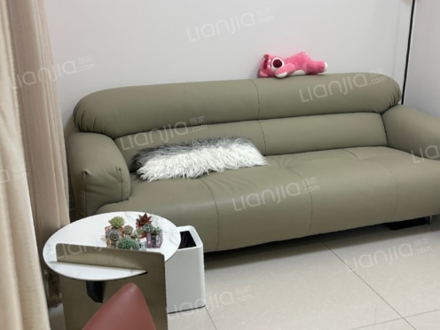 整租·中央公馆(翠园街) 1室1厅 南