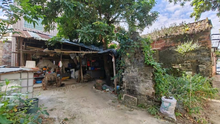 永兴街镇南三B巷二手房实景图