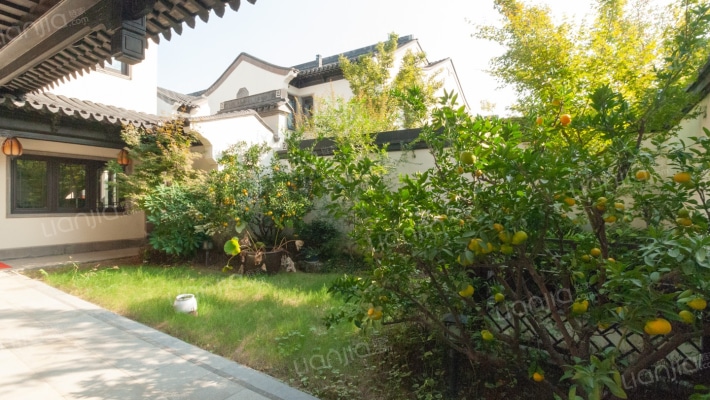桃李春风 大户型 220户型 大院子带地下室 满两年-花园