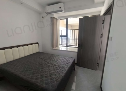 整租·黎都壹品 2室1厅 东南_黎都壹品租房