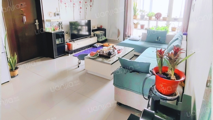 龙城名都二手房实景图