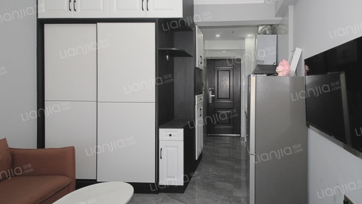 九龙广场性价好的公寓干净卫生品质家装拎包入住-客厅