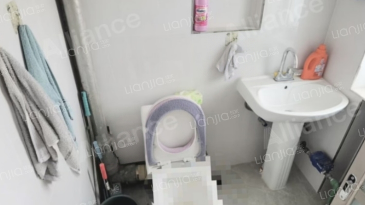 桃园社区精装两居 拎包入住 小区适合全龄化人群居住-卫生间