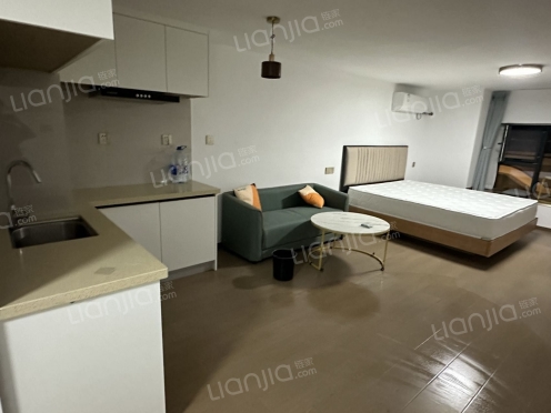 整租·金茂悦览秀 1室0厅 南