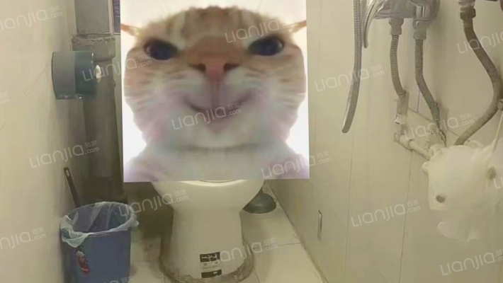 校园内 物探局家属院  南北通透两居出售-卫生间