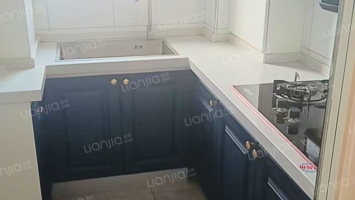 鸿坤新维港 1室1厅 西-厨房