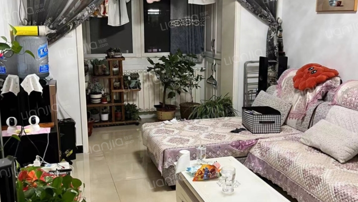 华丰小区 精装两居 南北通透 拎包入住-客厅