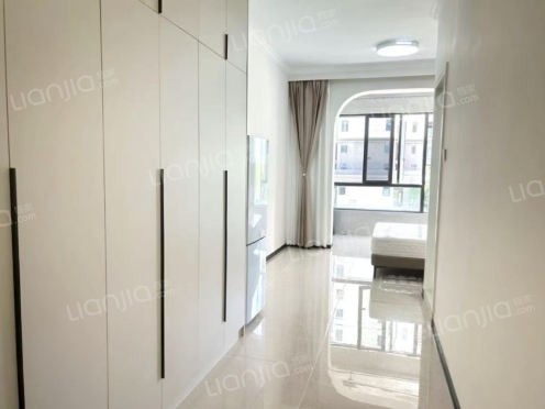 整租·国资安厦·带湖雅苑 1室1厅 南