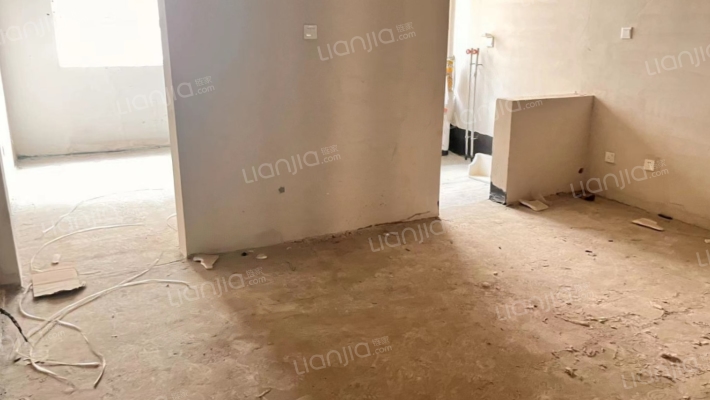 全南正规一居室，毛坯房，明厨明卫，全明格局，-客厅