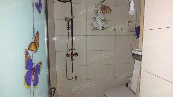 临京好房，低密度社区，次新房，交通便利，配套齐全-卫生间