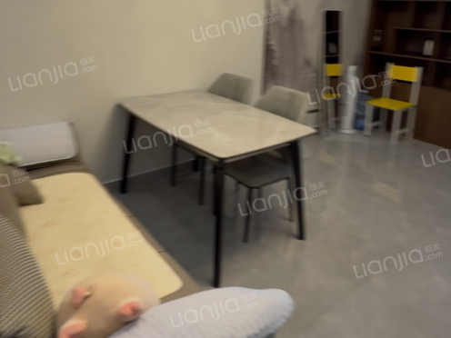 整租·版纳上品 1室1厅 东南