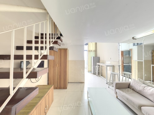 整租·双子星城 1室1厅 南