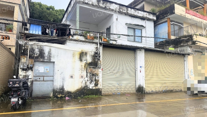大良单家红岗居委会二手房实景图