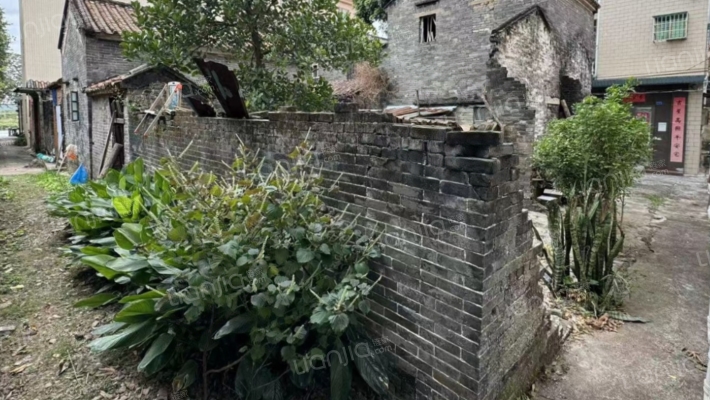 杏坛单家古朗社区二手房实景图