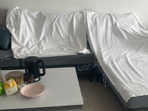 整租·新天地大厦 1室1厅 南/北