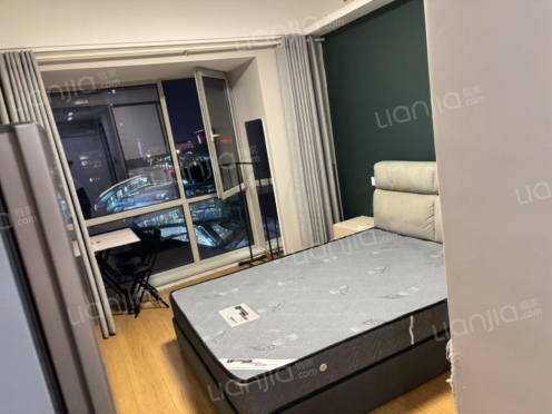 整租·中南世纪城鼎城 1室1厅 南