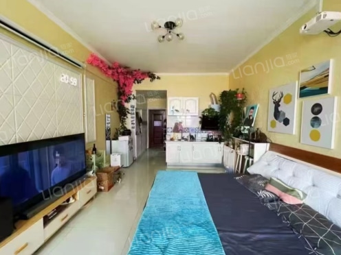 整租·亿联时代奥城 1室1厅 北