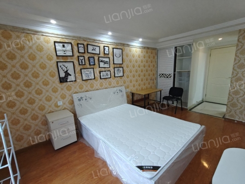 整租·嘉年华青年城 1室1厅 南