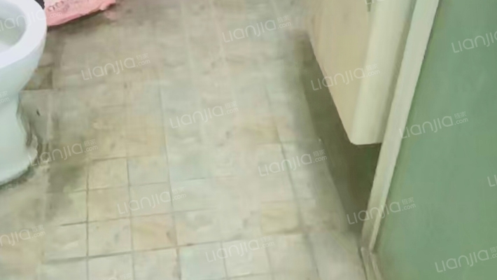 水岸花城，好房源，环境好，交通便利。-卫生间