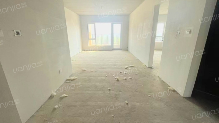 桃源新都孔雀城 3室2厅 南-客厅