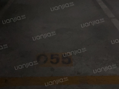 整租·协信阿卡迪亚 1室0厅 南