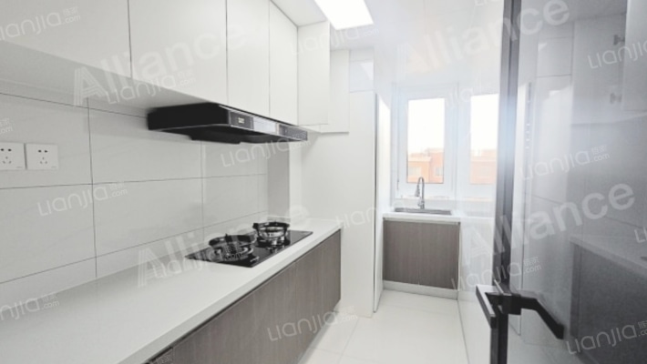 公园8090 3室2厅 南-厨房