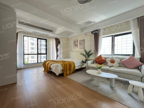 整租·白马湖公馆 1室1厅 南