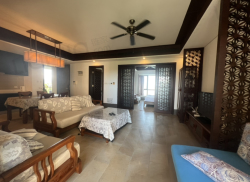 整租·神州半岛朝阳海岸 1室1厅 南_神州半岛朝阳海岸租房