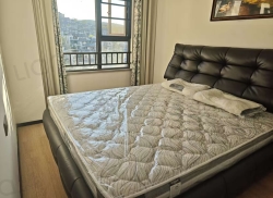 整租·万科·曼西缇 2室1厅 东南_万科·曼西缇租房