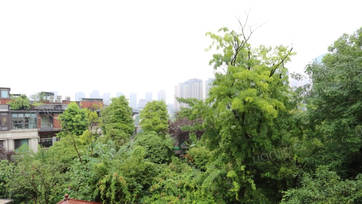 香港置地品质联排端户大花园300平米美式风带三车位-窗外景观